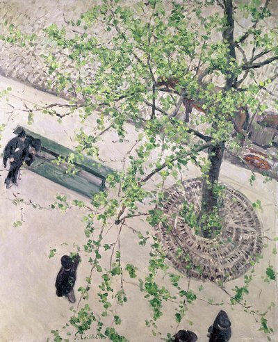 O Boulevard visto de cima, 1880 de Gustave Caillebotte